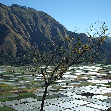 Rinjani Green Park Syariah Hotel Sembalunlawang Esterno foto