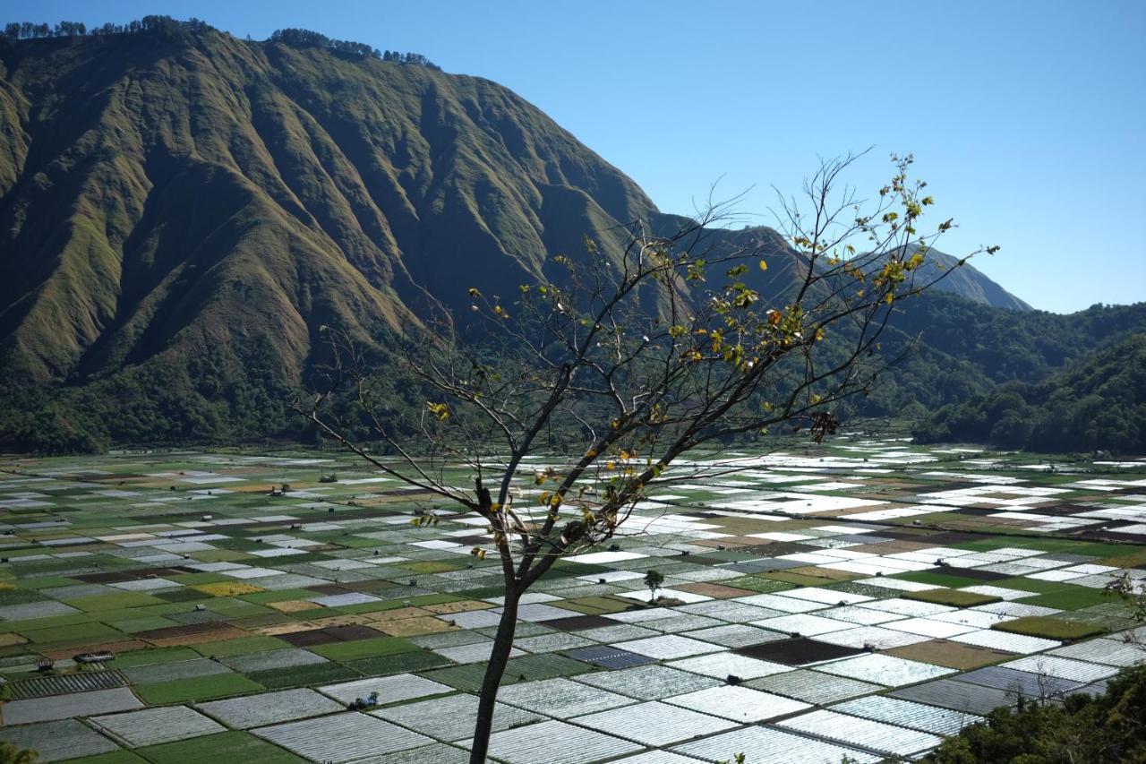 Rinjani Green Park Syariah Hotel Sembalunlawang Esterno foto